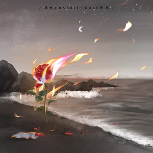 免费观看大肚子黄片
